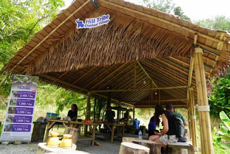 Phuket: Elephant Sanctuary Guided Tour with Hotel Transfers - Key Points