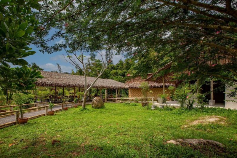 Phuket: Elephant Sanctuary Guided Tour With Hotel Transfers - Itinerary Details