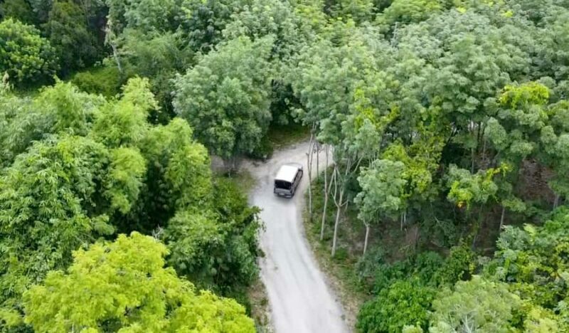 Phuket: Elephant Sanctuary Tour - Canopy Walk & Feeding - Final Recommendations