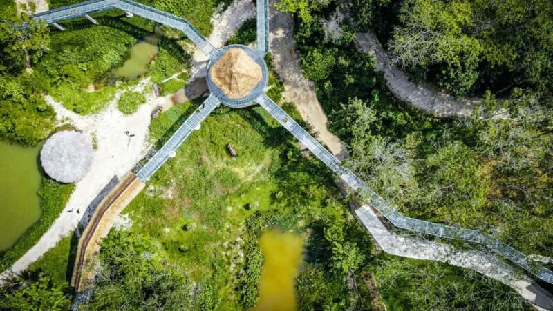Phuket: Elephant Sanctuary Tour - Canopy Walk & Meal - What Travelers Are Saying