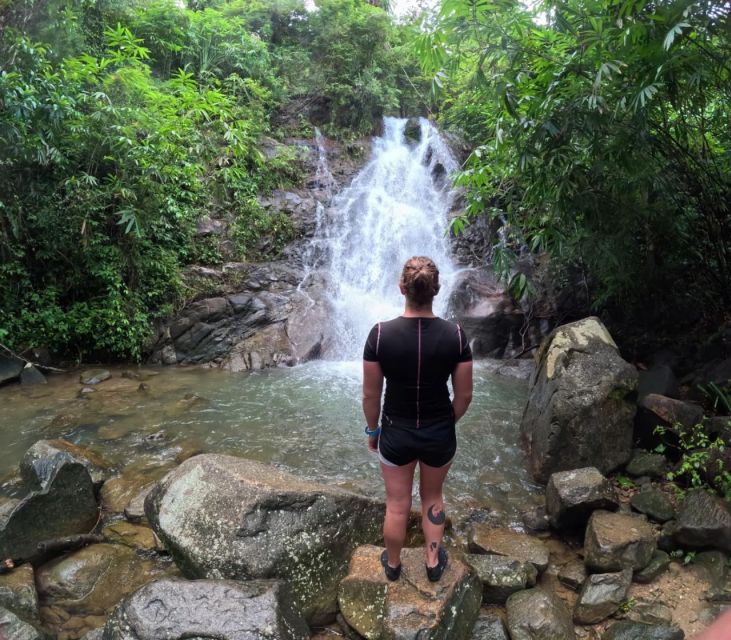Phuket: Elephant Sanctuary Tour, Cooking Class & Lunch - Itinerary and Experiences