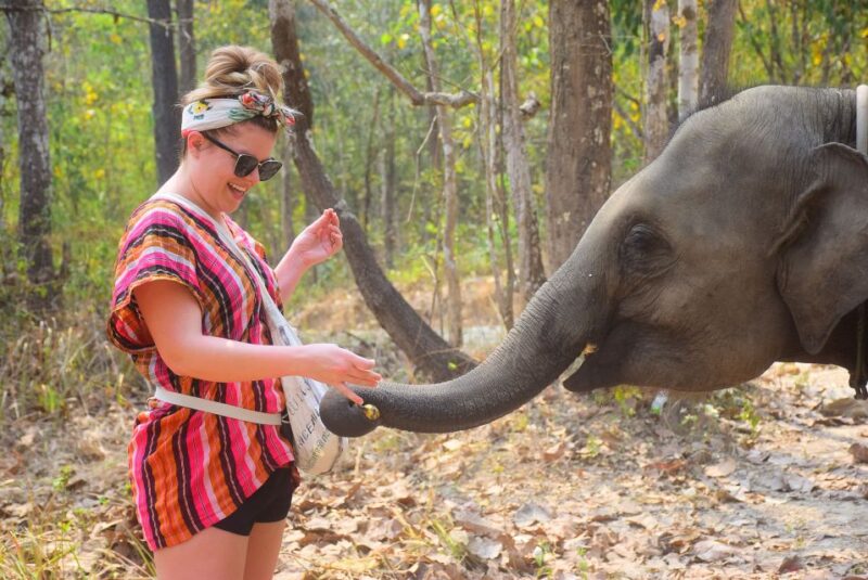Phuket: Elephant Save & Care Program Tour - Highlights of the Experience
