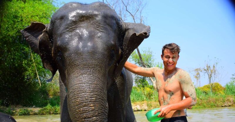 Phuket: Elephant Save & Care Program Tour - Included in the Tour