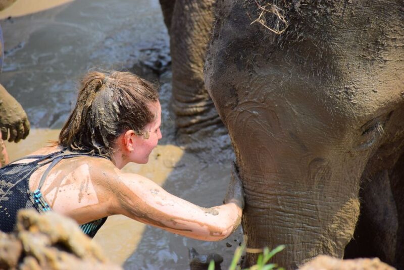 Phuket: Elephant Save & Care Program Tour - Customer Reviews