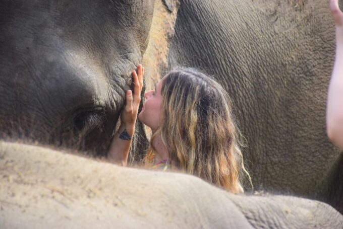 Phuket: Elephant Save & Care Program Tour - Group Size and Language Options