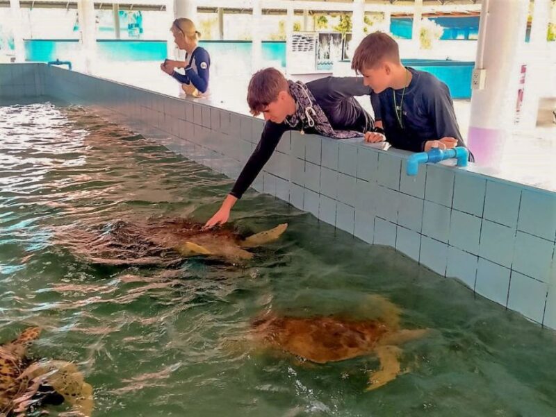 Phuket: Elephant & Sea Turtle Conservation Tour With Rafting - Itinerary Highlights