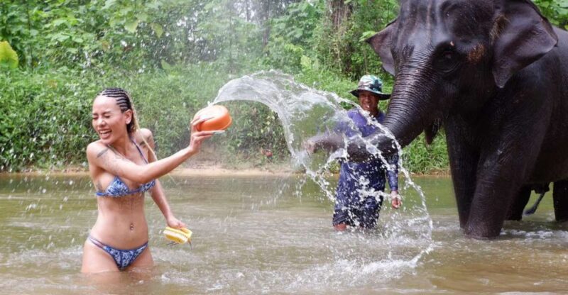Phuket: Elephant & Sea Turtle Conservation Tour With Rafting - Included Features