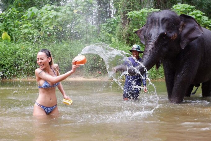 Phuket: Elephant & Sea Turtle Conservation Tour With Rafting - Frequently Asked Questions