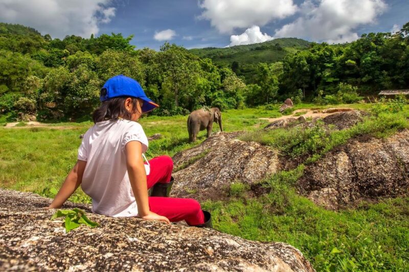 Phuket: Ethical Elephant Nature Park Visit With Lunch - Experience Highlights