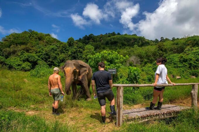 Phuket: Ethical Elephant Nature Park Visit With Lunch - Customer Reviews
