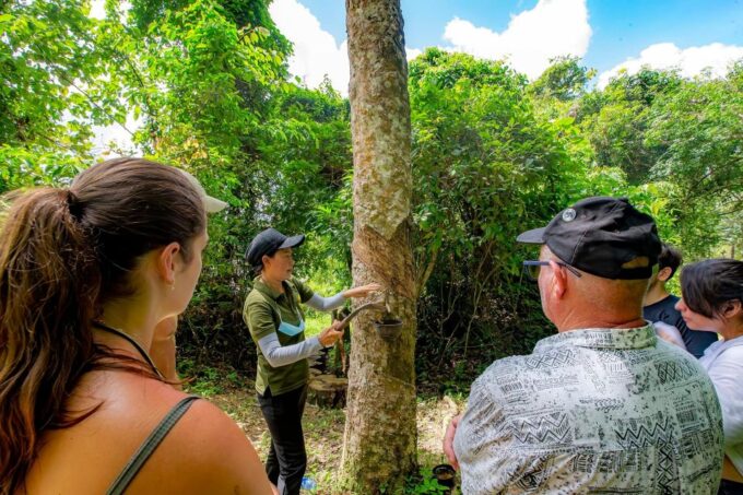 Phuket: Ethical Elephant Nature Park Visit With Lunch - Frequently Asked Questions