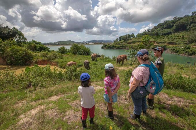 Phuket: Ethical Elephant Nature Park Visit With Lunch - Recap