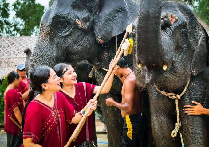 Phuket : Experience Feeding and Bathing Elephants 1.5 Hrs. - Discounted Pricing and Cancellation Policy
