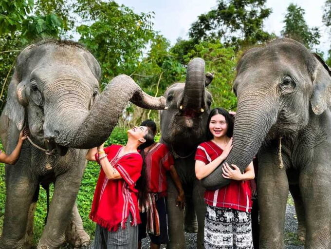 Phuket : Experience Feeding and Bathing Elephants 1.5 Hrs. - Frequently Asked Questions