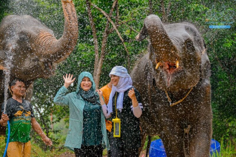 Phuket: Feed and Rain Shower at Elephant Camp With Seaview - Key Points