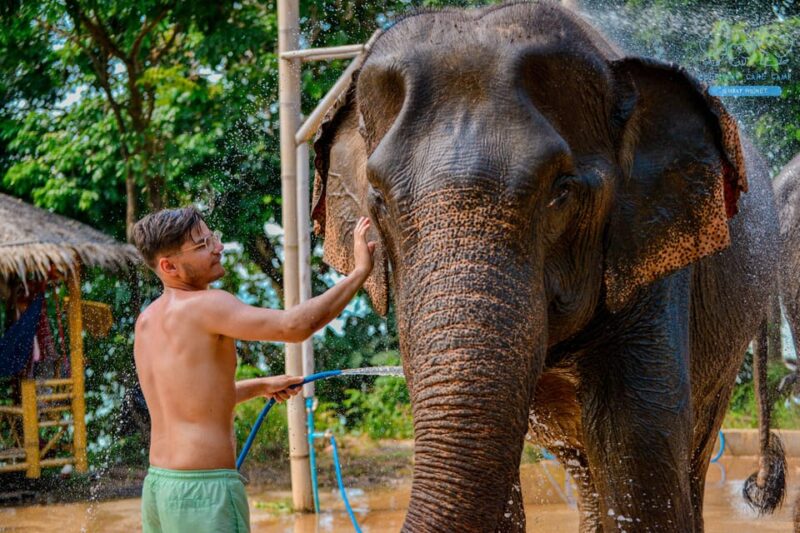 Phuket: Feed and Rain Shower at Elephant Camp With Seaview - Recommended Items to Bring