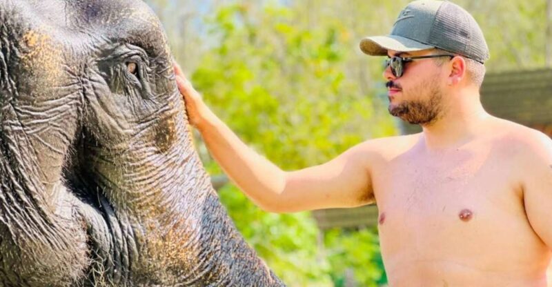 Phuket: Feeding Elephants at Phuket Elephant Care - Key Points