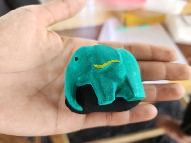 Phuket: Feeding Elephants at Phuket Elephant Care - Experience Details