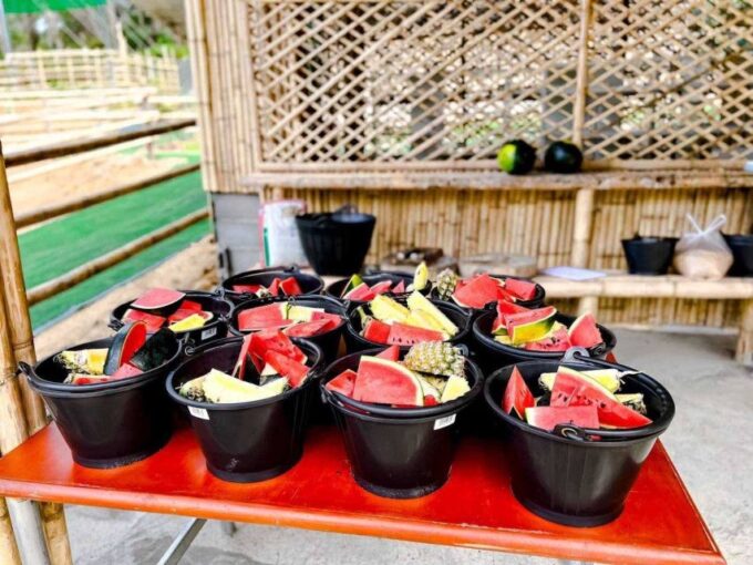 Phuket: Feeding Elephants at Phuket Elephant Care - Meeting Point Options