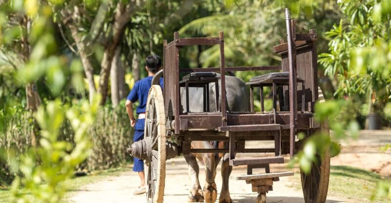 Phuket: Full-Day Local Life Culture Tour With Pickup & Lunch - Visiting Big Buddha and Wat Chalong