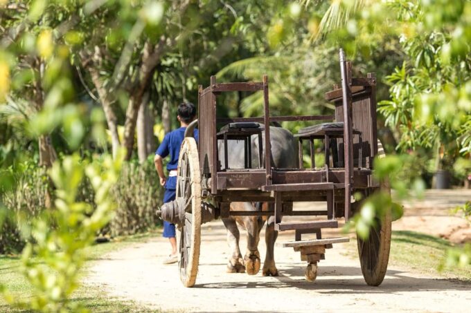 Phuket: Full-Day Local Life Culture Tour With Pickup & Lunch - Frequently Asked Questions