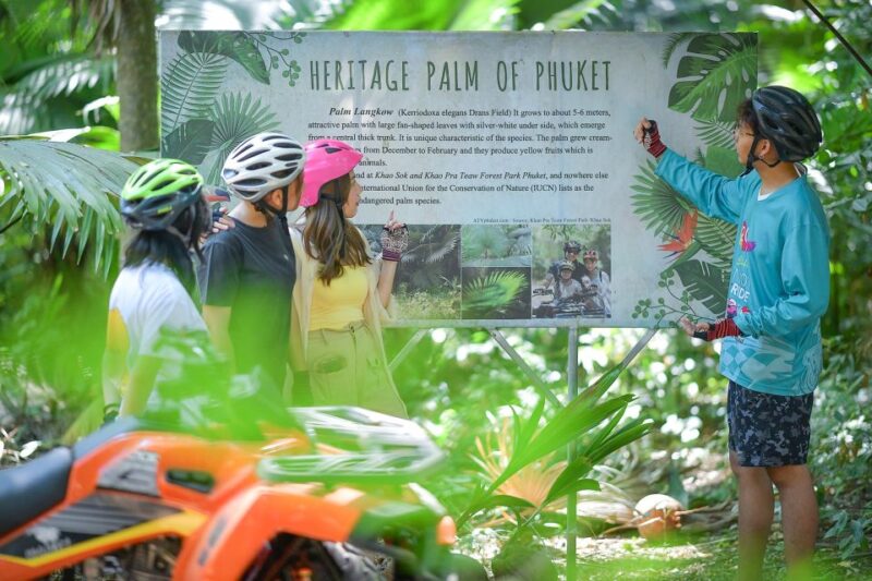 Phuket: Guided ATV Adventure - Unleash Your Inner Explorer - Key Points