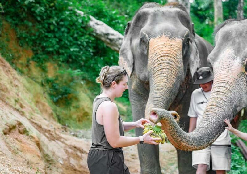 Phuket: Guided Tour ATV Ride & Elephant Feeding & City Trip - Key Points