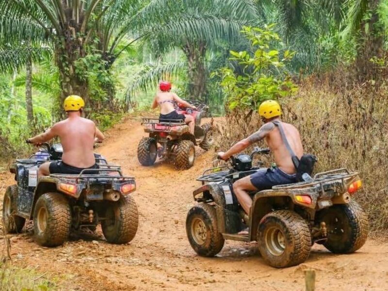 Phuket: Guided Tour ATV Ride & Elephant Feeding & City Trip - An Overview of the Tour