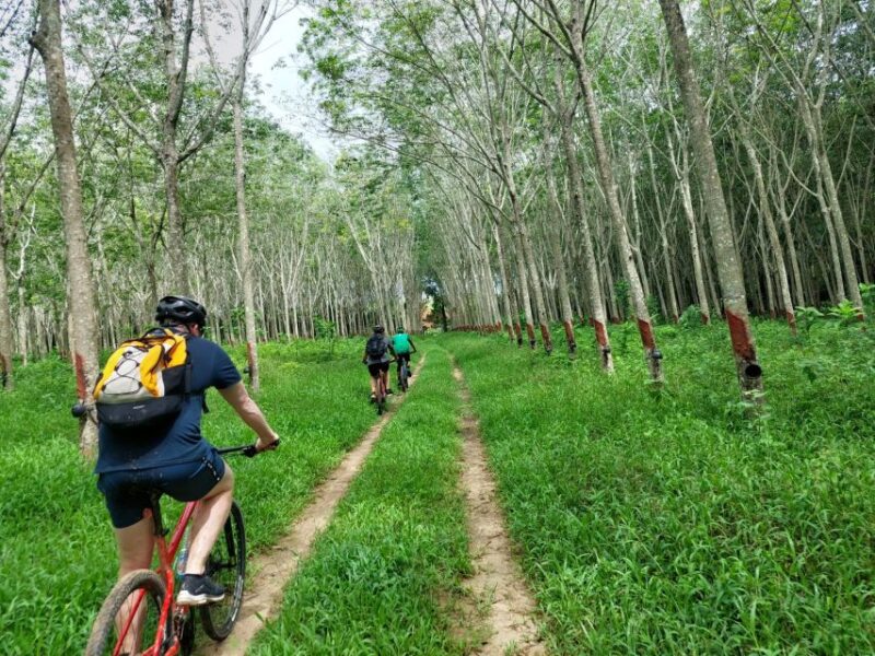 Phuket: Half-Day Countryside Cycling Tour With Lunch - Customer Reviews
