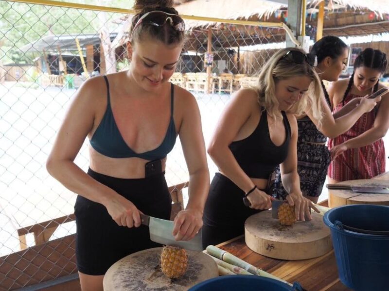 Phuket: Half-Day Elephant Explorer at Phuket Elephant Care - Booking Details