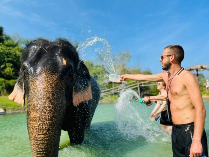 Phuket: Half-Day Elephant Explorer at Phuket Elephant Care - What to Expect