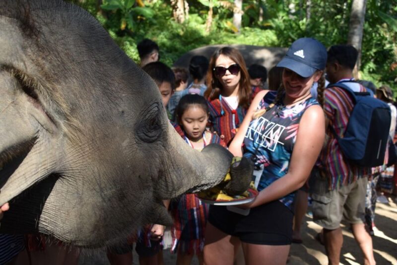 Phuket: Half Day or 2-Hour Ethical Elephant Care Sanctuary - Key Points