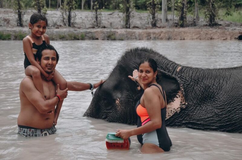 Phuket: Half Day or 2-Hour Ethical Elephant Care Sanctuary - Ethical Commitment