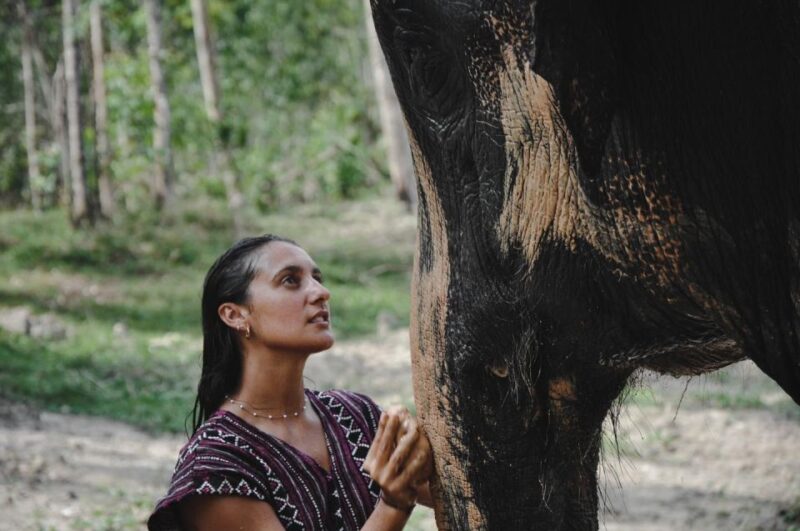 Phuket: Half Day or 2-Hour Ethical Elephant Care Sanctuary - Inclusions and Logistics