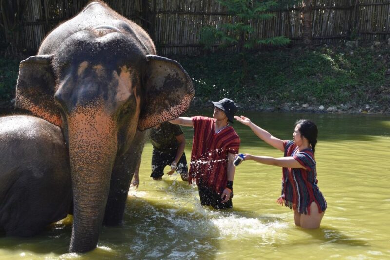 Phuket: Half Day or 2-Hour Ethical Elephant Care Sanctuary - What to Bring
