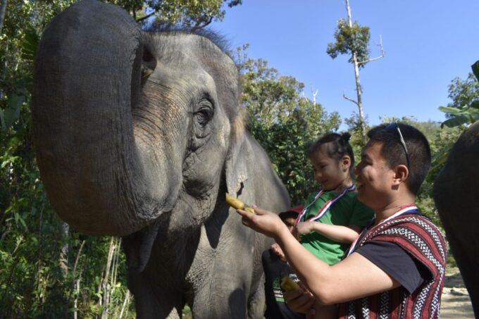 Phuket: Half Day or 2-Hour Ethical Elephant Care Sanctuary - Booking Information