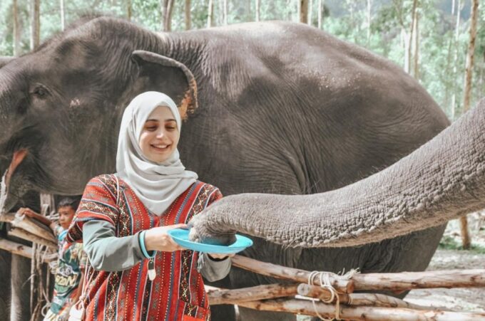 Phuket: Half Day or 2-Hour Ethical Elephant Care Sanctuary - Frequently Asked Questions