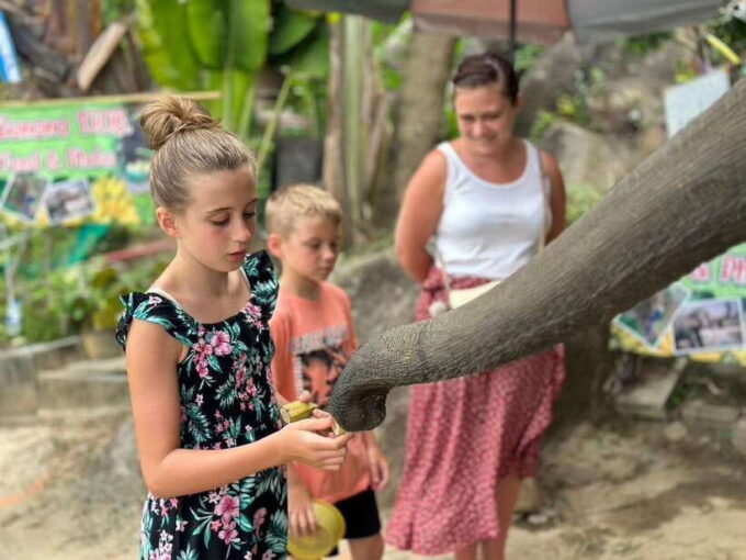 Phuket: Half Day Sightseeing and City Tour With Tour Guide - Visiting the Cashew Nut Factory