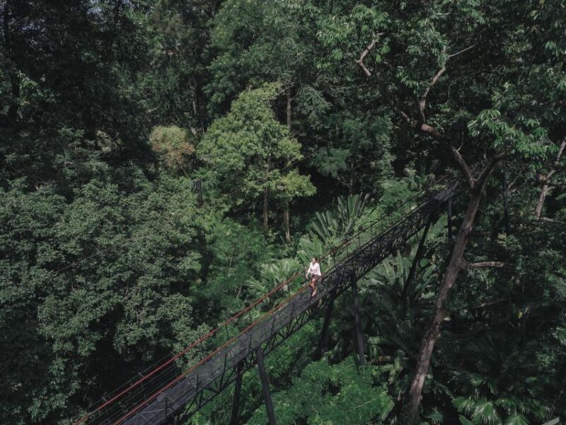 Phuket: Hanuman World Zip Line Adventure - Adventure Highlights