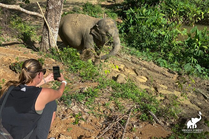 Phuket: Hidden Forest Elephant Reserve Guided Tour With Lunch - Vegetarian Thai Lunch and Amenities