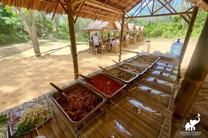 Phuket: Hidden Forest Elephant Reserve Guided Tour With Lunch - Guest Reviews and Testimonials