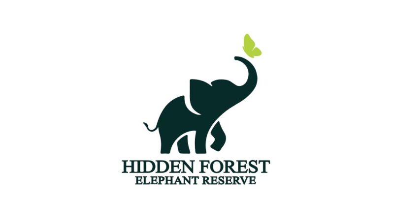 Phuket: Hidden Forest Elephant Reserve With Meal & Transfer - Key Points