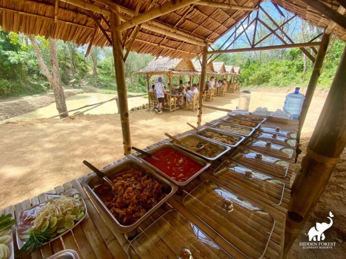 Phuket: Hidden Forest Elephant Reserve With Meal & Transfer - Frequently Asked Questions