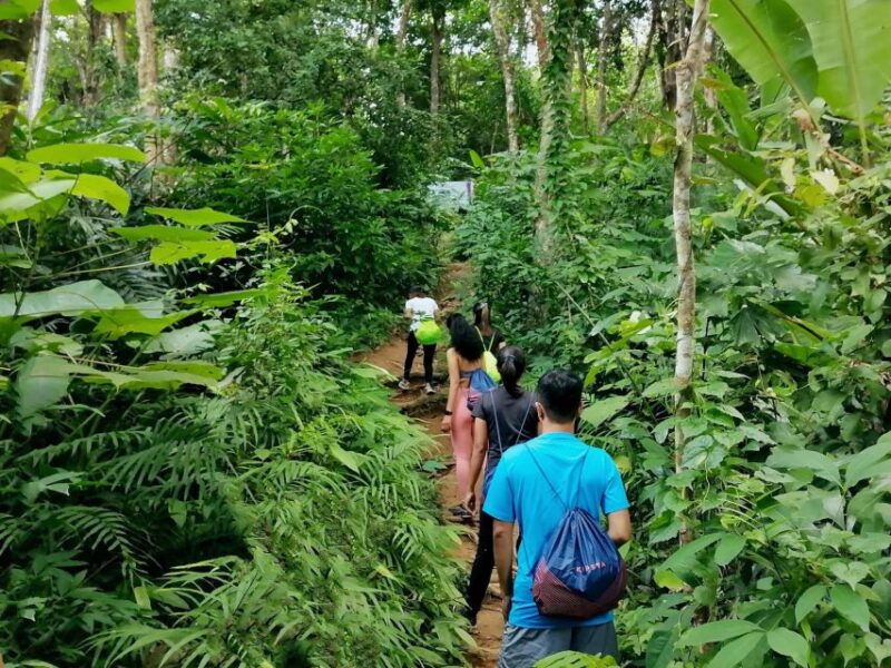 Phuket: Hiking to Sunrise - Customer Experience