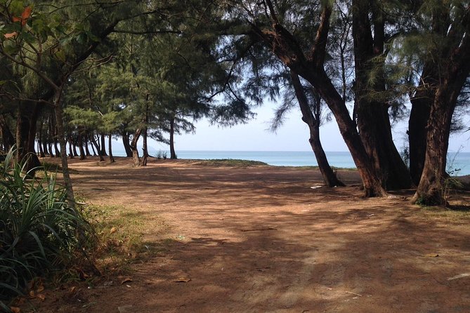 Phuket Horse Riding Club - Inclusions and Booking Process