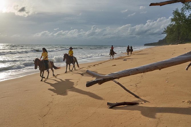 Phuket Horse Riding Club - Recommended for Travelers