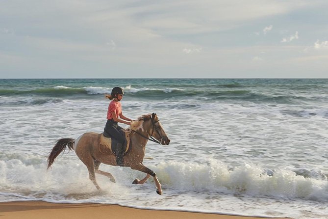 Phuket Horse Riding Club - Tour Scheduling and Duration