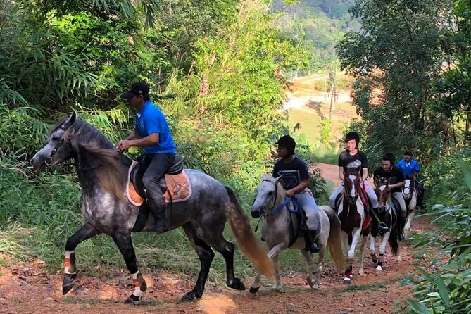 Phuket Horse Riding Experience - Tour Cancellations