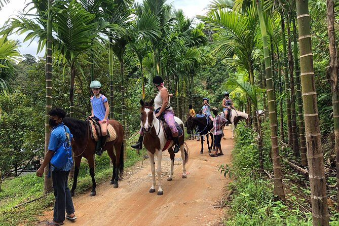 Phuket Horse Riding Experience - Meeting Point and Activity End