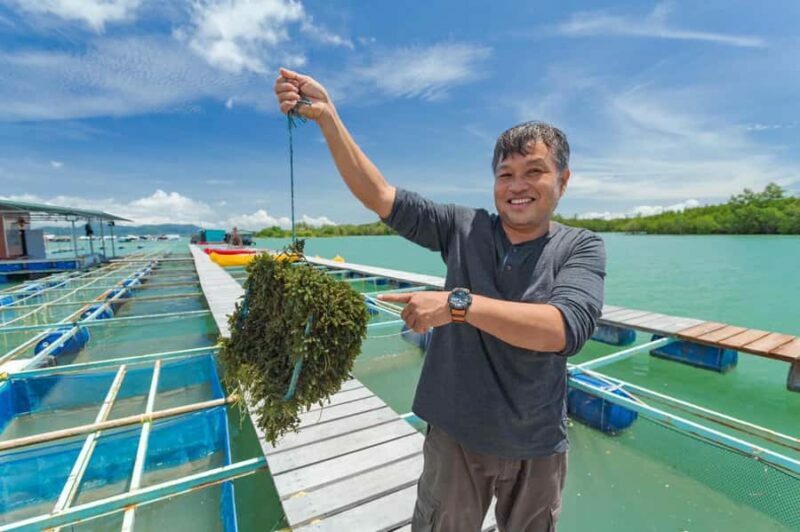 Phuket: Intara Farm & Pearl Factory Half-Day Tour with Lunch - An Overview of the Tour Experience